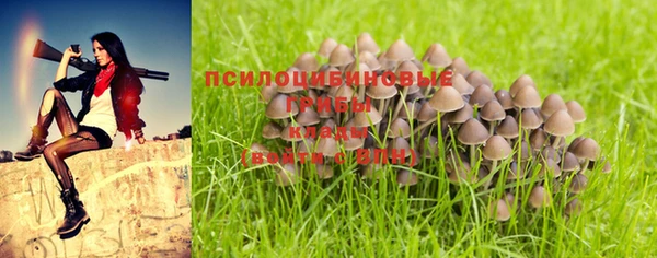 ALPHA-PVP Ростов